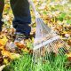 Plant leaf removal service