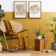 Arrange Plants in Your Living Room