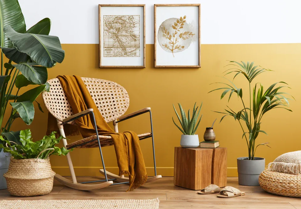 Arrange Plants in Your Living Room