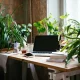 6 Low-Light Plants for Your Office Spaces