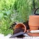 Developing a herb corner in your garden