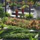 Planting & Softscape Services in Jaipur