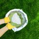 Lawn Care Services in jaipur