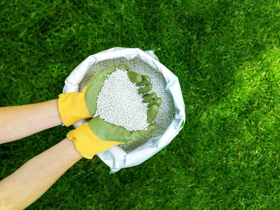 Lawn Care Services in jaipur